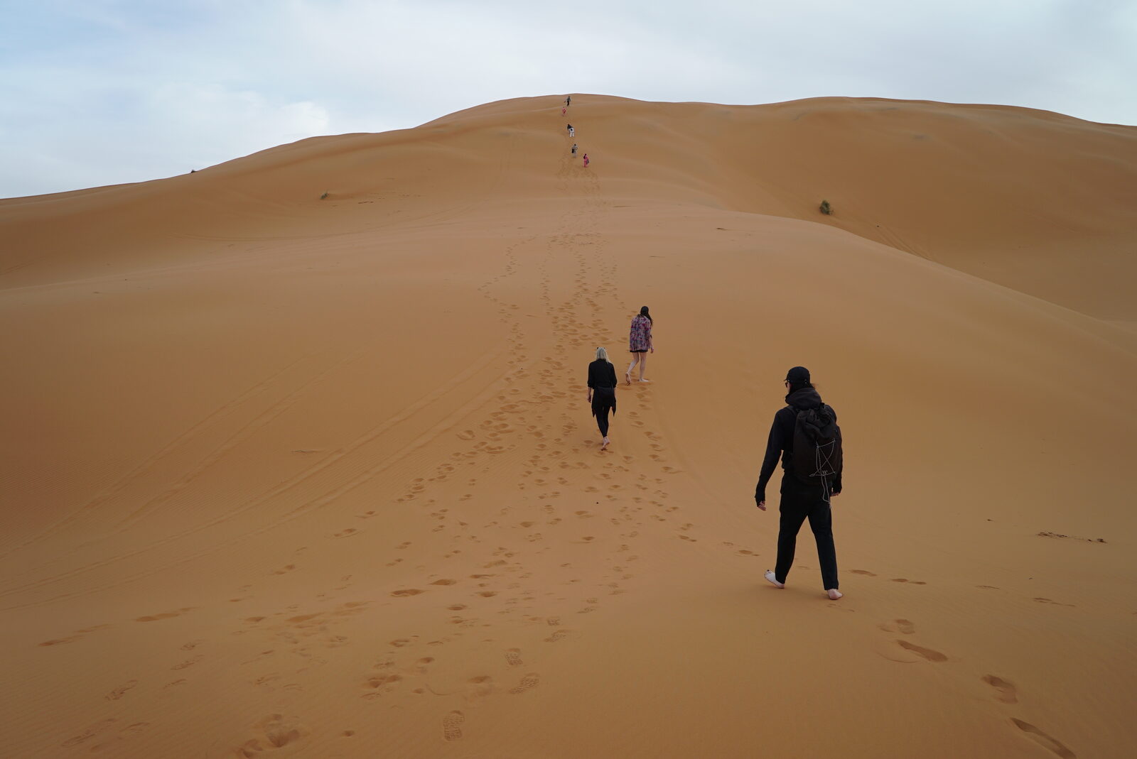 Field-research: Moroccan Sahara 40