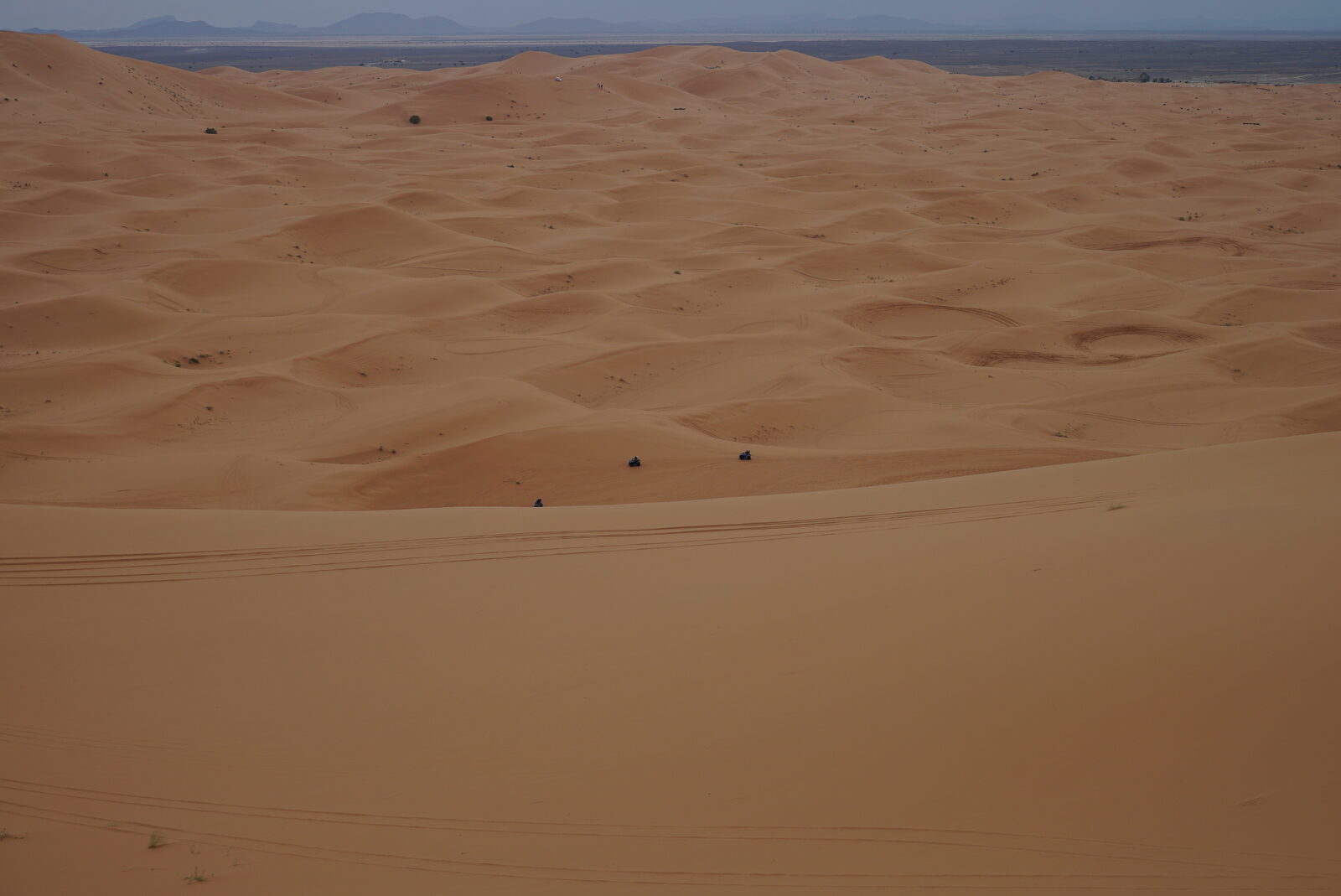 Field-research: Moroccan Sahara 41