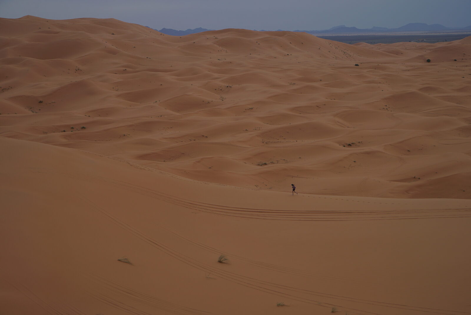 Field-research: Moroccan Sahara 42