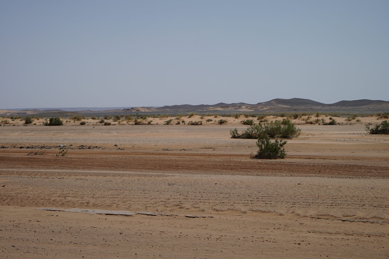 Field-research: Moroccan Sahara 43