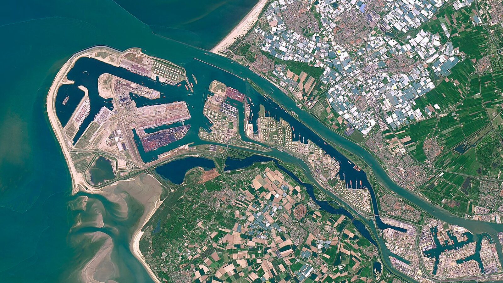 Field-research: Maasvlakte