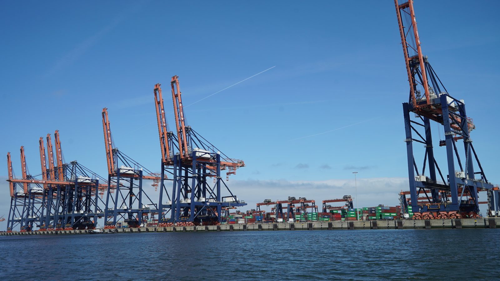 Field-research: Maasvlakte