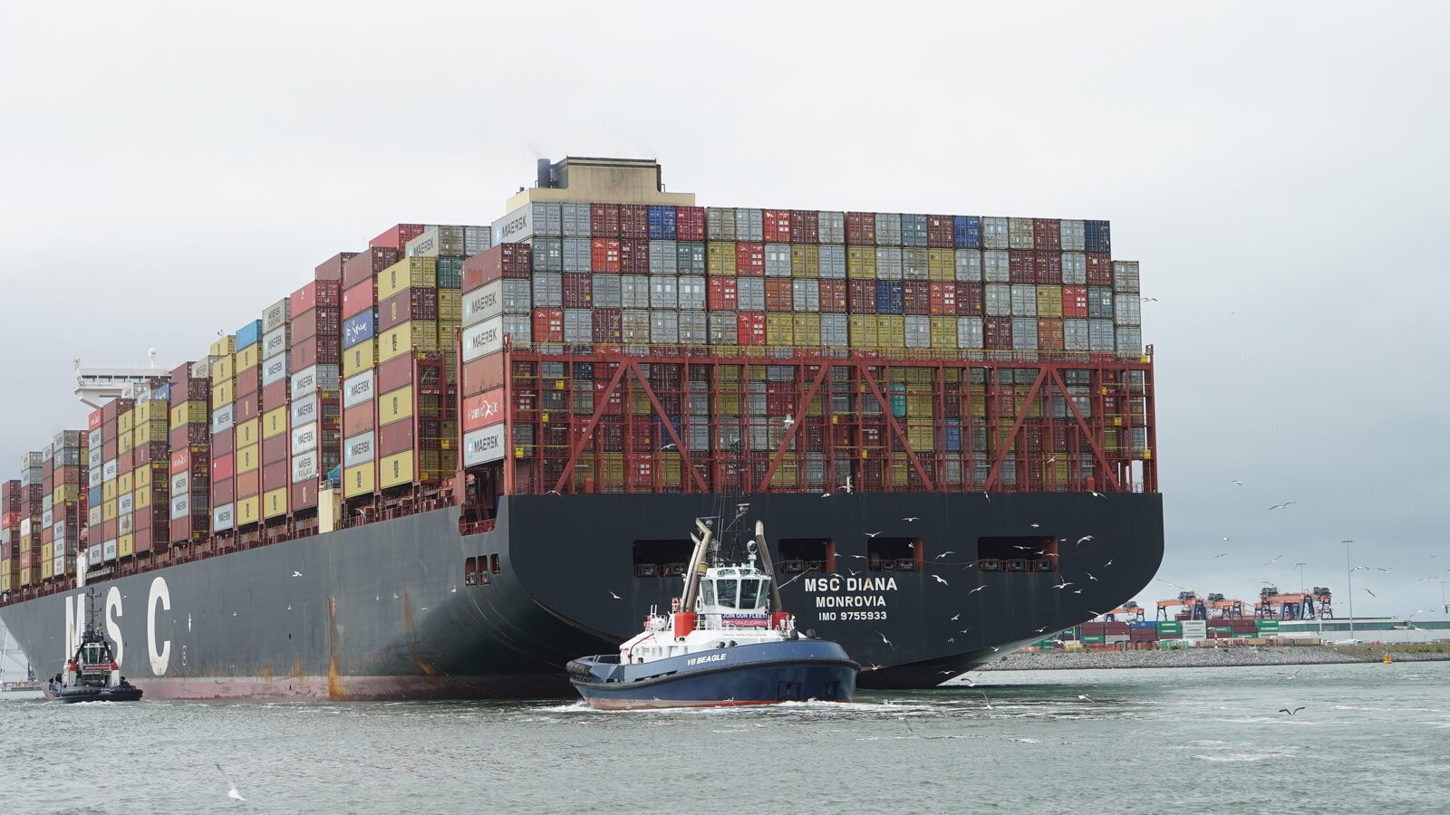 Field-research: Maasvlakte