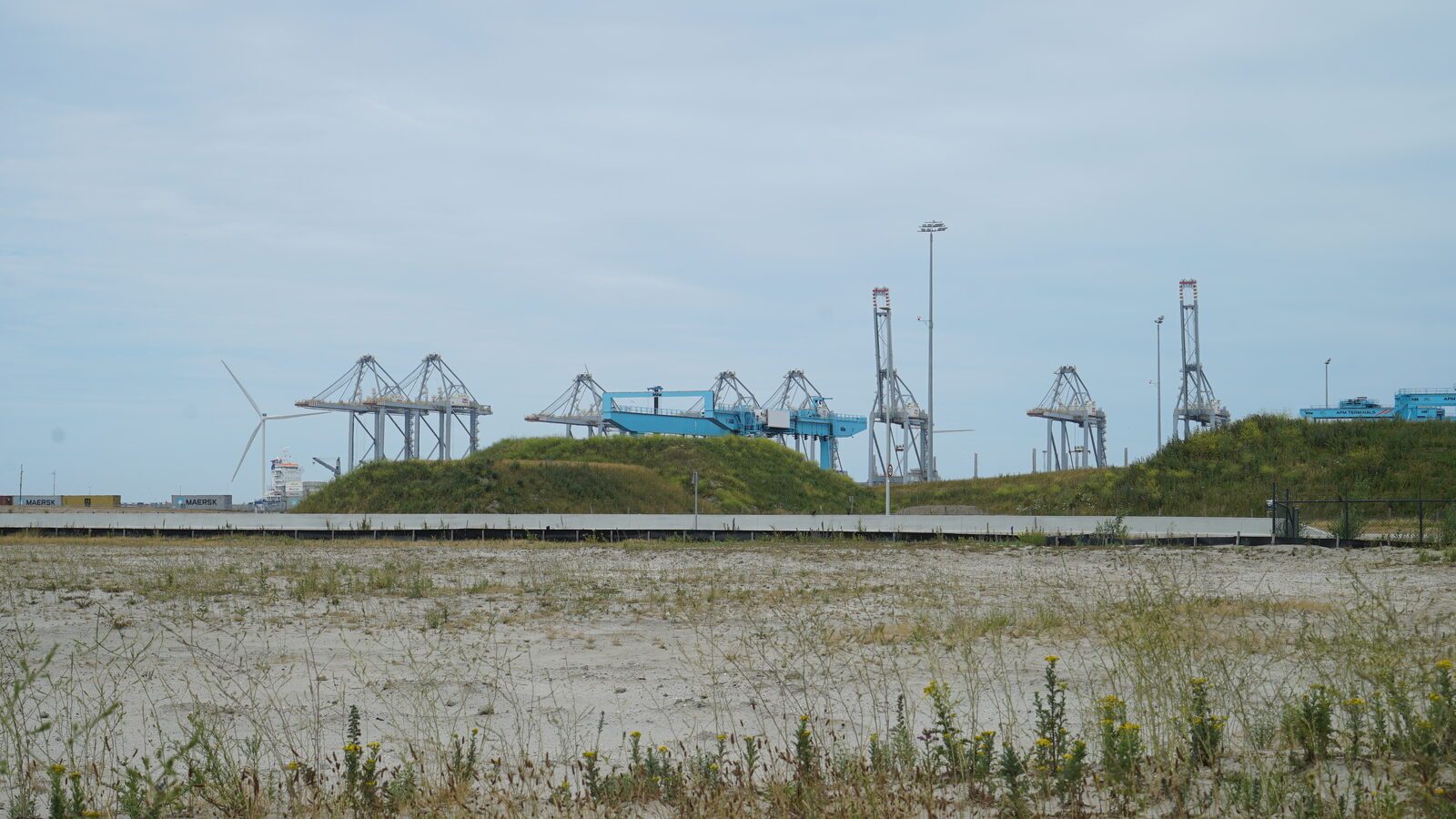 Field-research: Maasvlakte