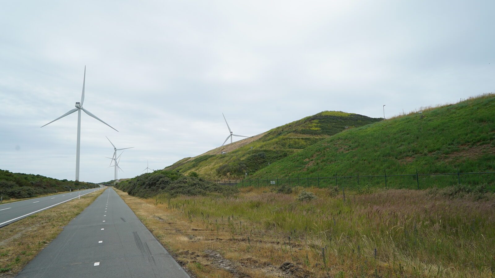 Field-research: Maasvlakte