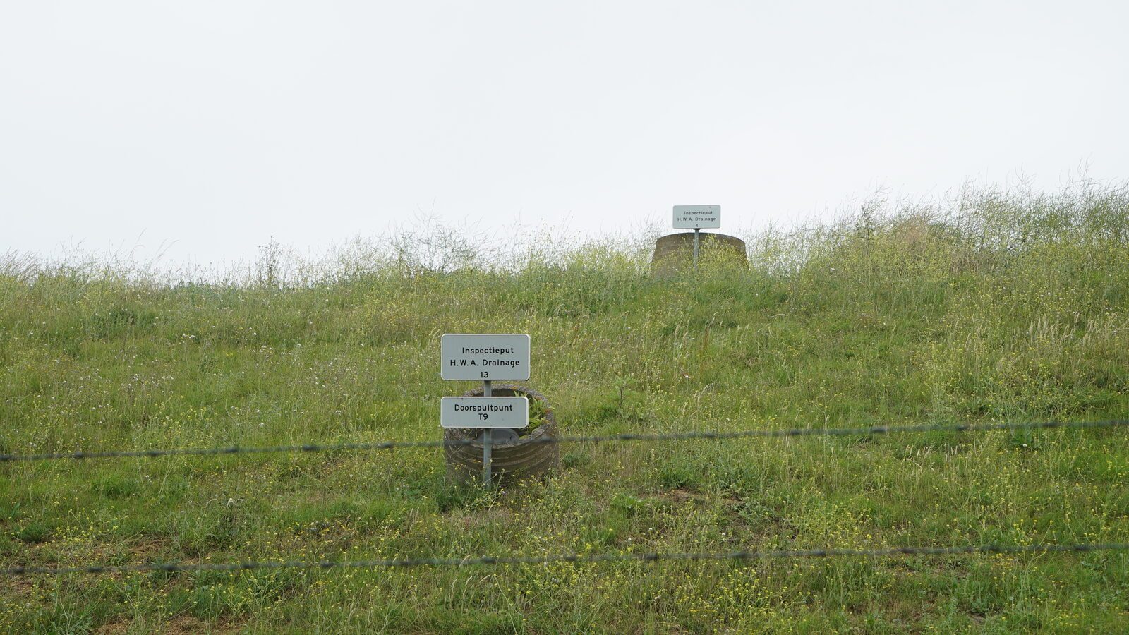 Field-research: Maasvlakte
