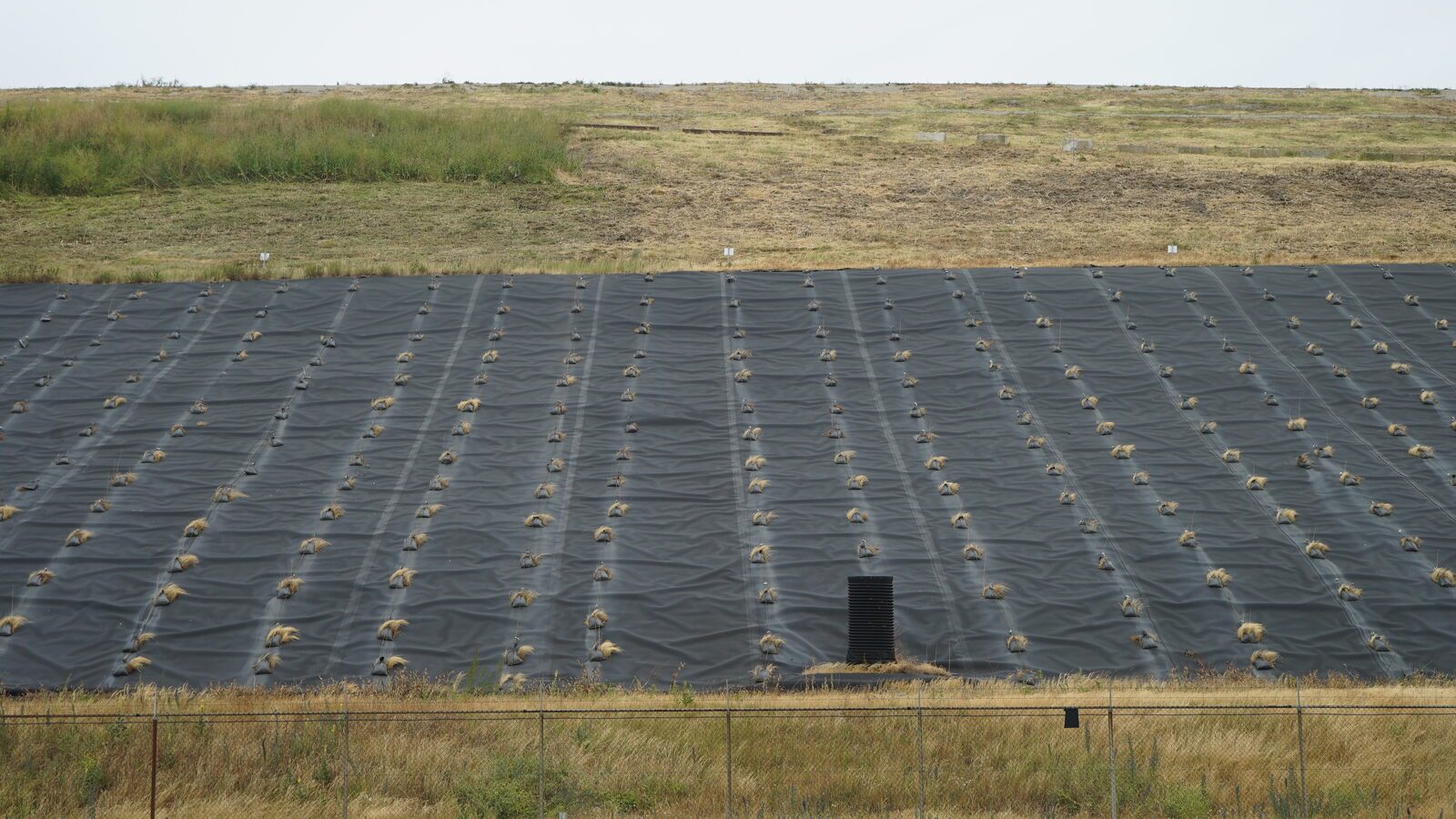 Field-research: Maasvlakte