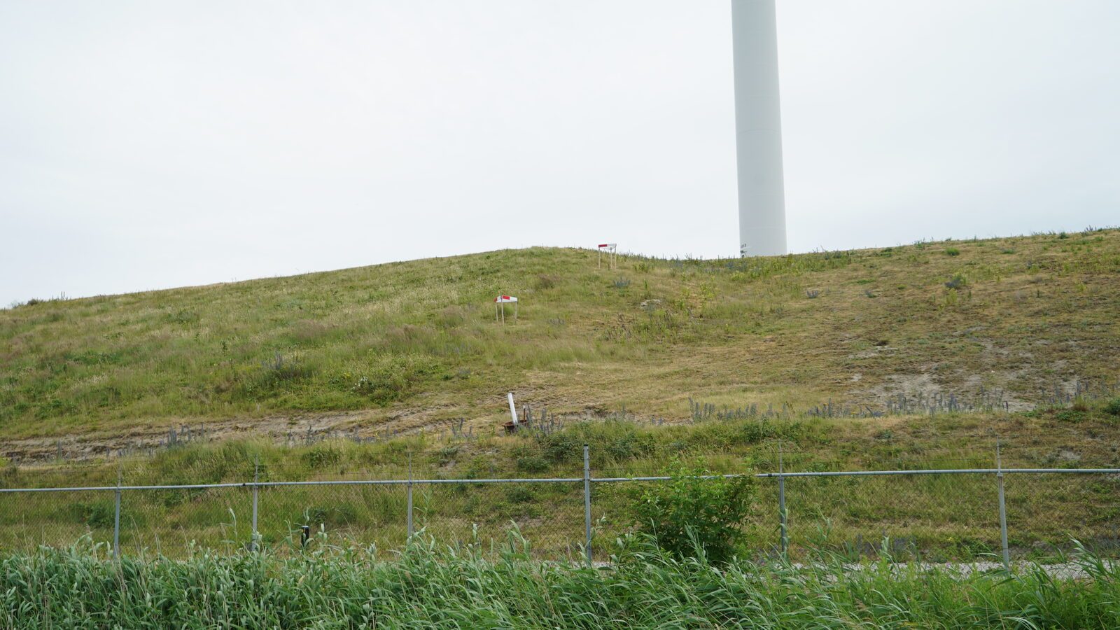 Field-research: Maasvlakte