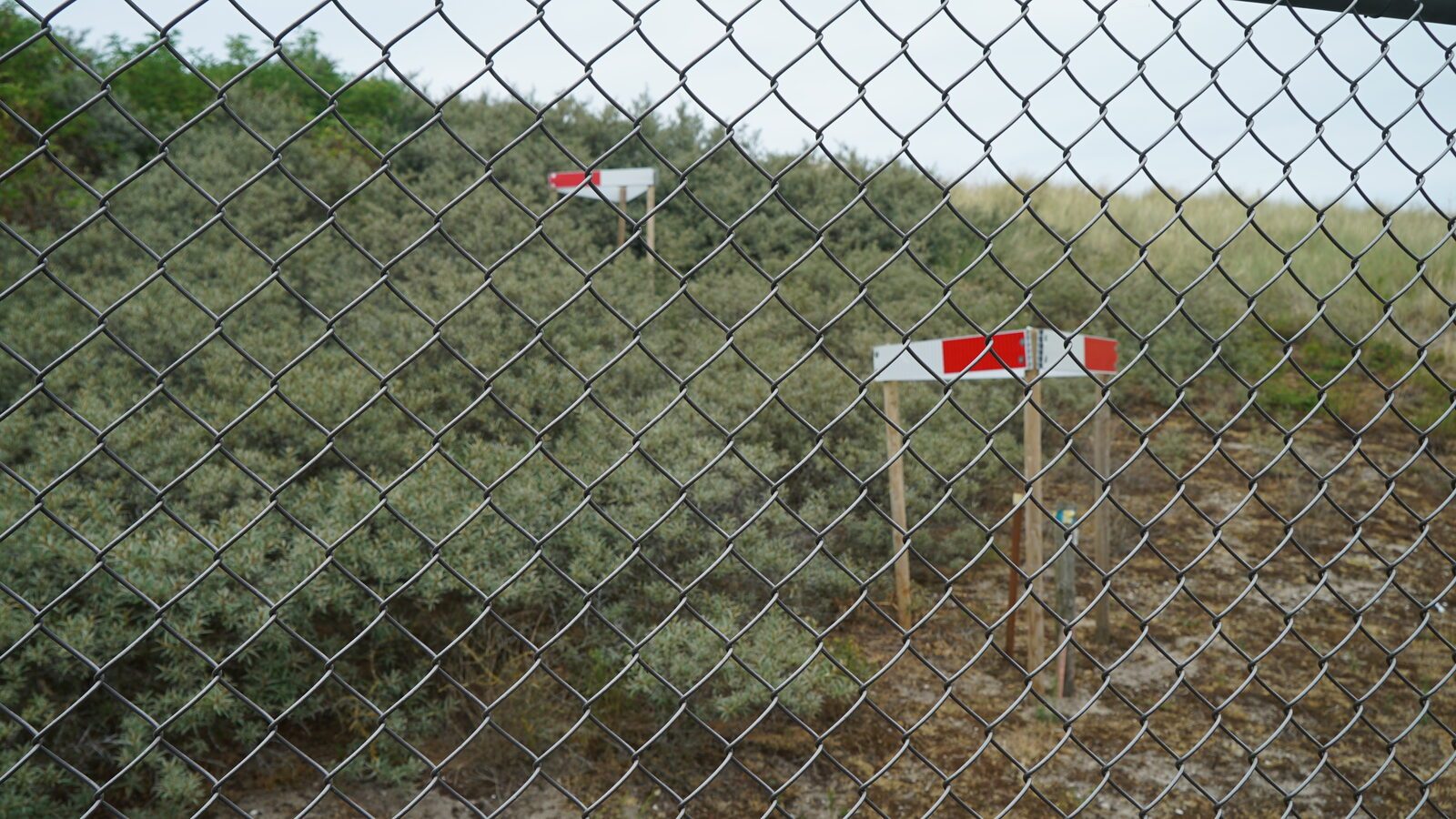 Field-research: Maasvlakte
