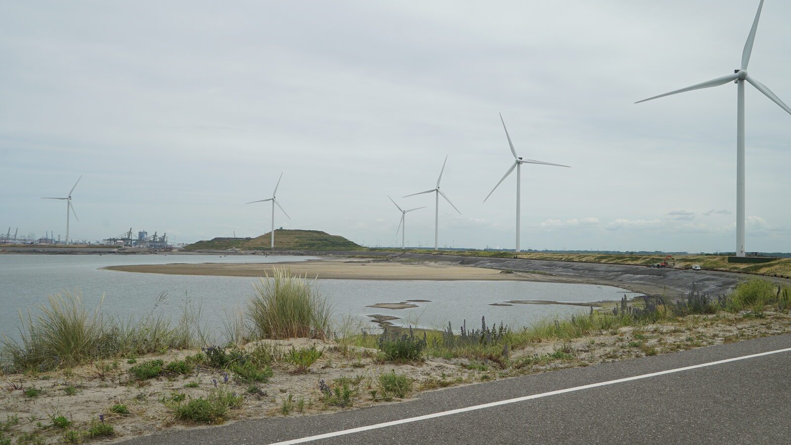 Field-research: Maasvlakte