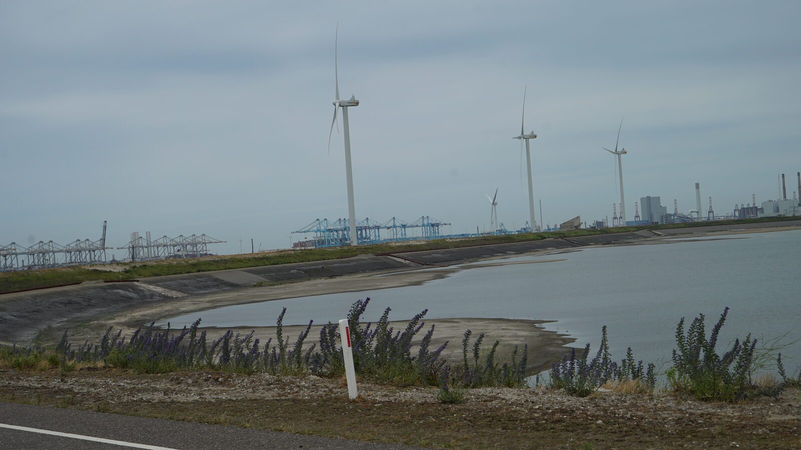 Field-research: Maasvlakte